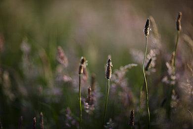 《铁拳7》D加密被移除 性能更加稳定